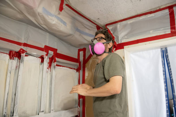 Best Mold Remediation for Healthcare Facilities  in Elverta, CA