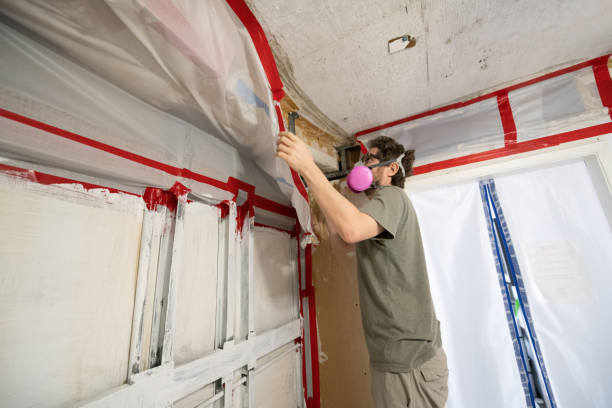 Best Mold Remediation for Rental Properties  in Elverta, CA